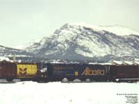 Governement of Alberta / CPR fleet - ALPX 628064