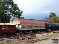 Canadian National - CN 383460 (ex-HLMX 141XX, exx-WAR 141XX) - C113