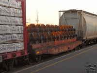 Canadian National wheel transport car - CN 49291 - M150