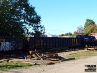 CSX Transportation - CSXT 491810