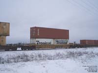 Triton Container International and Tropical