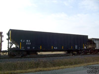 Canadian National (Elgin, Joliet & Eastern) - EJ&E 223