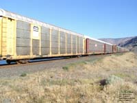 TTX Company / Union Pacific trilevel autorack (on UP) - ETTX 950007