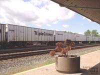 Triple Crown Services - TCSZ 461120