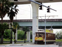 Unidentified Streetcar in Florida