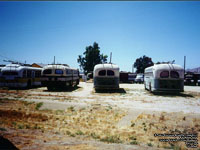 OERM Trolleybuses