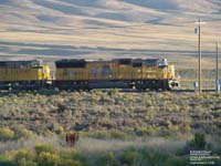 A UP train in Wells,NV