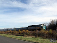 Via Rail 6446 (F40PH-2)