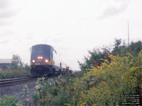 Via Rail 917 (P42DC / Genesis)