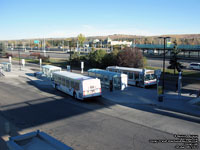 Calgary Transit Brentwood Bus Terminal