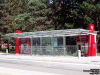 Viva York University station