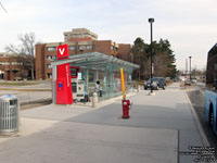 Viva York University station