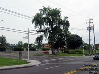 Station Mtrobus Des Roses