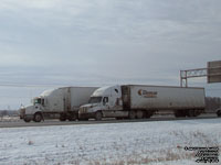 ADTS and Bison - Glencoe