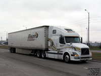 Bison Transport