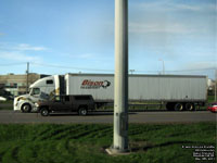 Bison Transport