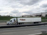 Bison Transport