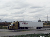 Bison Transport