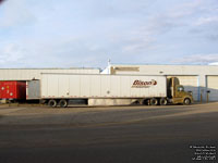 Bison Transport