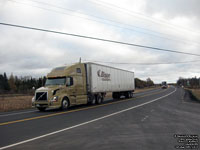 Bison Transport