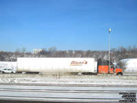 Bison Transport