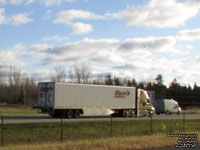 Bison Transport