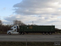 Bison Transport