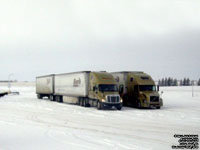 Bison Transport