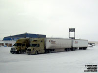 Bison Transport