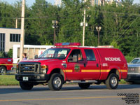 102 - 2008 Ford F-250 4x4 utility