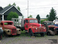 Ford Jailbar Truck