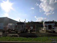 White Freightliner Cabovers