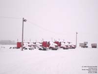 Boutin Express / Transnat trucks stored to be parted out