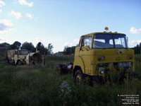 1955 Reo 2 1/2 ton