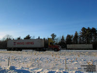 Guilbault - Yang Ming Container