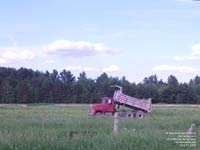 International dump truck