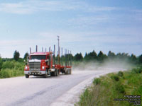 Unidentified International truck