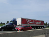 Labatt Budweiser