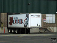 Molson Canadian