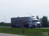 Unid. Peterbilt truck