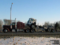 Peterbilt mule