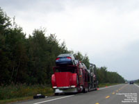 Roadside tire change