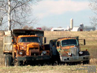 Sicard and White Dump Trucks