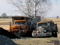 Sicard and White Dump Trucks