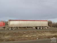 Bulk potato trailer