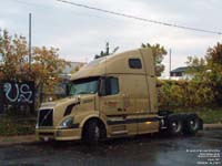 Bison Transport