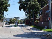 TTC Bingham Loop