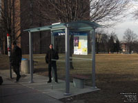 TTC Bus Stop Shelter