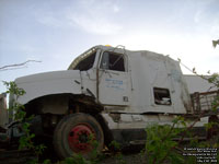 D�neigements Bo-Fort